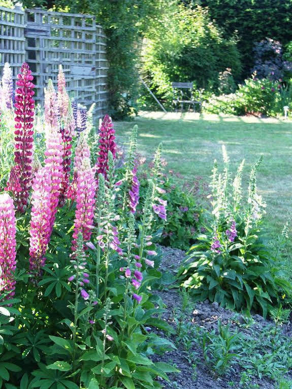 Bed and Breakfast Catton Old Hall Норвич Экстерьер фото
